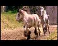 PDVD_1778