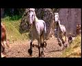PDVD_1779