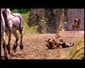 PDVD_1781