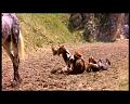 PDVD_1782