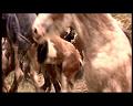 PDVD_1788