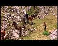 PDVD_1791