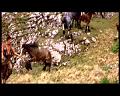 PDVD_1792