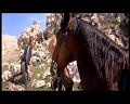 PDVD_381