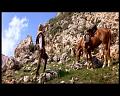 PDVD_388