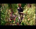 PDVD_674