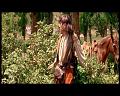 PDVD_692