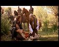 PDVD_710
