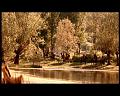 PDVD_741