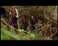 PDVD_752
