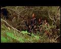PDVD_753