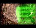 PDVD_772