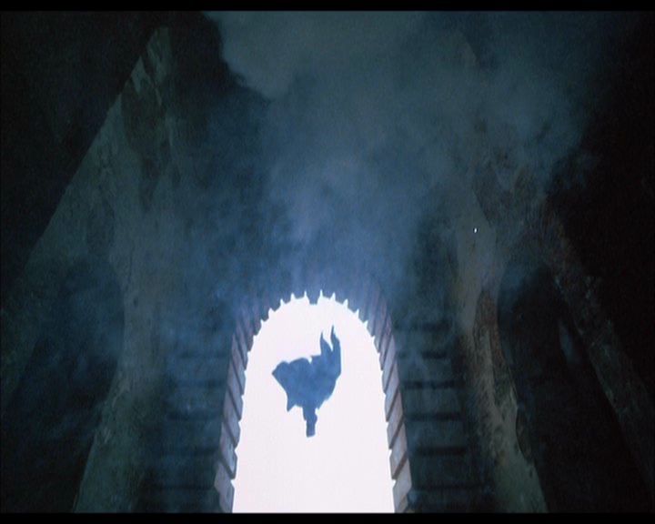 PDVD_097.jpg