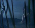 PDVD_149.jpg