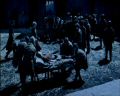 PDVD_3796.jpg