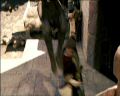 PDVD_683.jpg