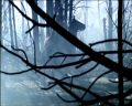 PDVD_971.jpg