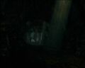 PDVD_1033.jpg