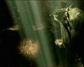PDVD_1054.jpg