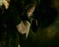 PDVD_1066.jpg