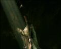 PDVD_1072.jpg