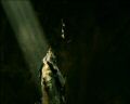 PDVD_1074.jpg