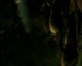 PDVD_1078.jpg
