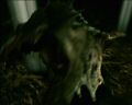 PDVD_1122.jpg