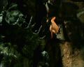 PDVD_1181.jpg
