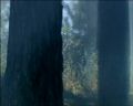 PDVD_1343.jpg
