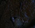 PDVD_114.jpg