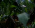 PDVD_839.jpg