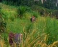 PDVD_949.jpg