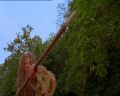PDVD_1165.jpg