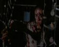 PDVD_1312.jpg