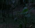 PDVD_1326.jpg