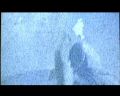 PDVD_600.jpg