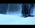 PDVD_2317.jpg