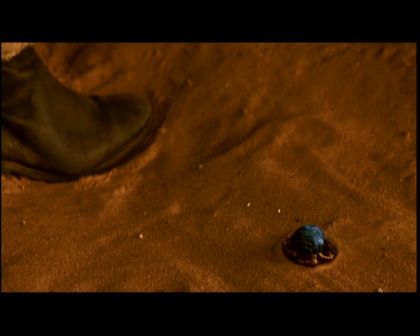 PDVD_1070.jpg