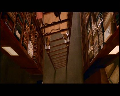 PDVD_269.jpg