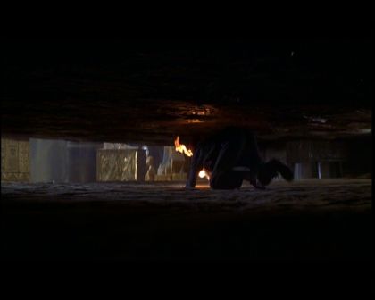 PDVD_2911.jpg