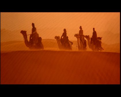 PDVD_805.jpg