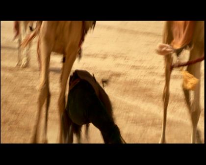 PDVD_879.jpg