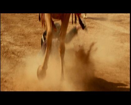 PDVD_880.jpg