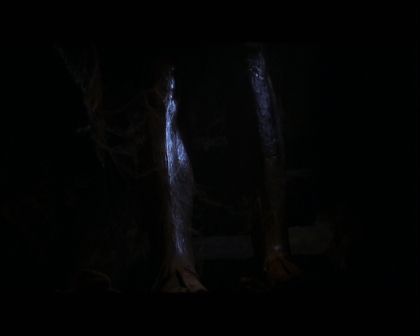 PDVD_968.jpg
