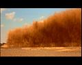 PDVD_2277