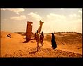 PDVD_2336