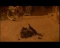 PDVD_2443