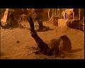 PDVD_2446