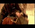 PDVD_2511